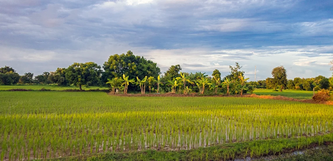 Quand visiter Siem Reap — Guide saison par saison